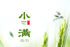 小满丨物致于此，小得盈满
